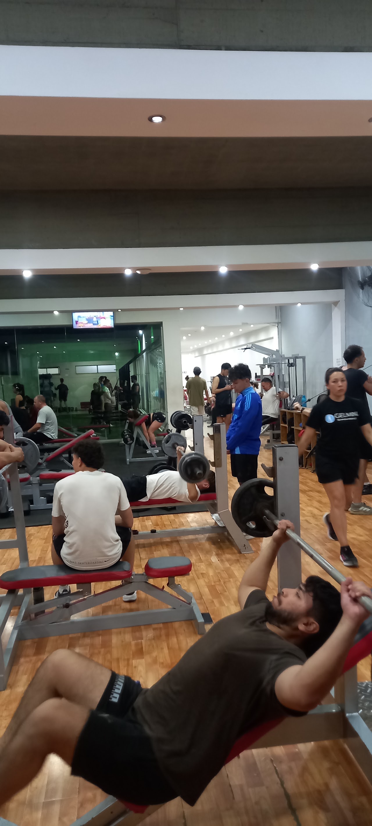 Sector Musculación y Mancuernas Gimnasio Gelmini